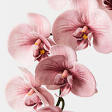 Real-Touch Phalaenopsis Orchid Spray - Dusty Pink - Premium Artificial Wedding Flowers by Sonder & Stone Boutique