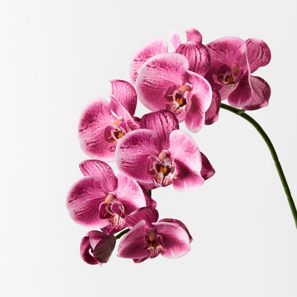 Real-Touch Phalaenopsis Orchid Spray - Hot Pink - Premium Artificial Wedding Flowers by Sonder & Stone Boutique