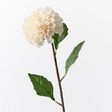 Real-Touch Pom Pom Dahlia - Cream - Premium Artificial Wedding Flowers by Sonder & Stone Boutique
