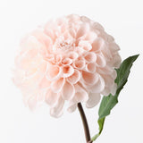 Real-Touch Pom Pom Dahlia - Soft Pink - Premium Artificial Wedding Flowers by Sonder & Stone Boutique