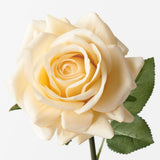 Real-Touch Rose Stem - Butter - Premium Artificial Wedding Flowers by Sonder & Stone Boutique