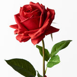 Real-Touch Rose Stem - Red - Premium Artificial Wedding Flowers by Sonder & Stone Boutique