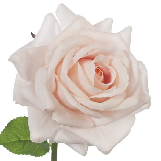 Real-Touch Rose Stem - Soft Pink - Premium Artificial Wedding Flowers by Sonder & Stone Boutique