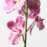 Real-Touch Vanda Orchid - Hot Pink - Premium Artificial Wedding Flowers by Sonder & Stone Boutique