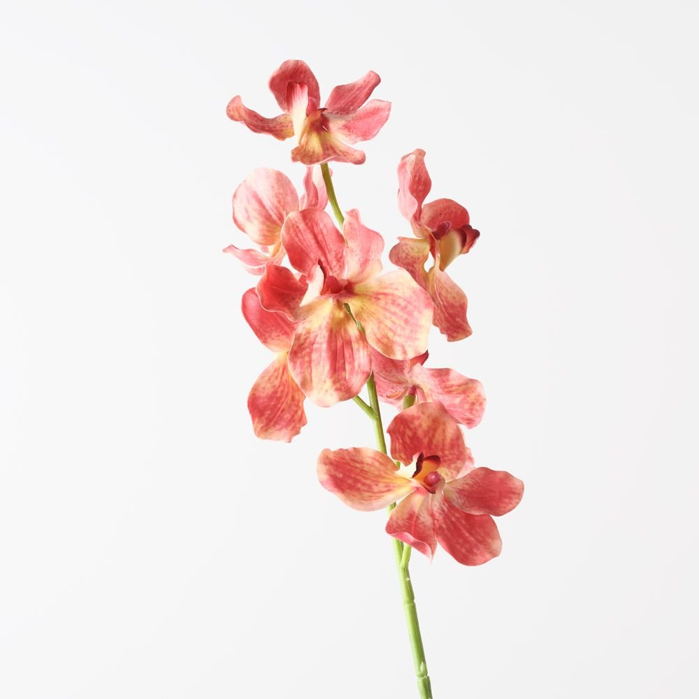 Real-Touch Vanda Orchid - Orange - Premium Artificial Wedding Flowers by Sonder & Stone Boutique