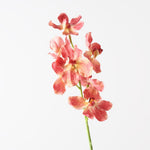 Real-Touch Vanda Orchid - Orange - Premium Artificial Wedding Flowers by Sonder & Stone Boutique