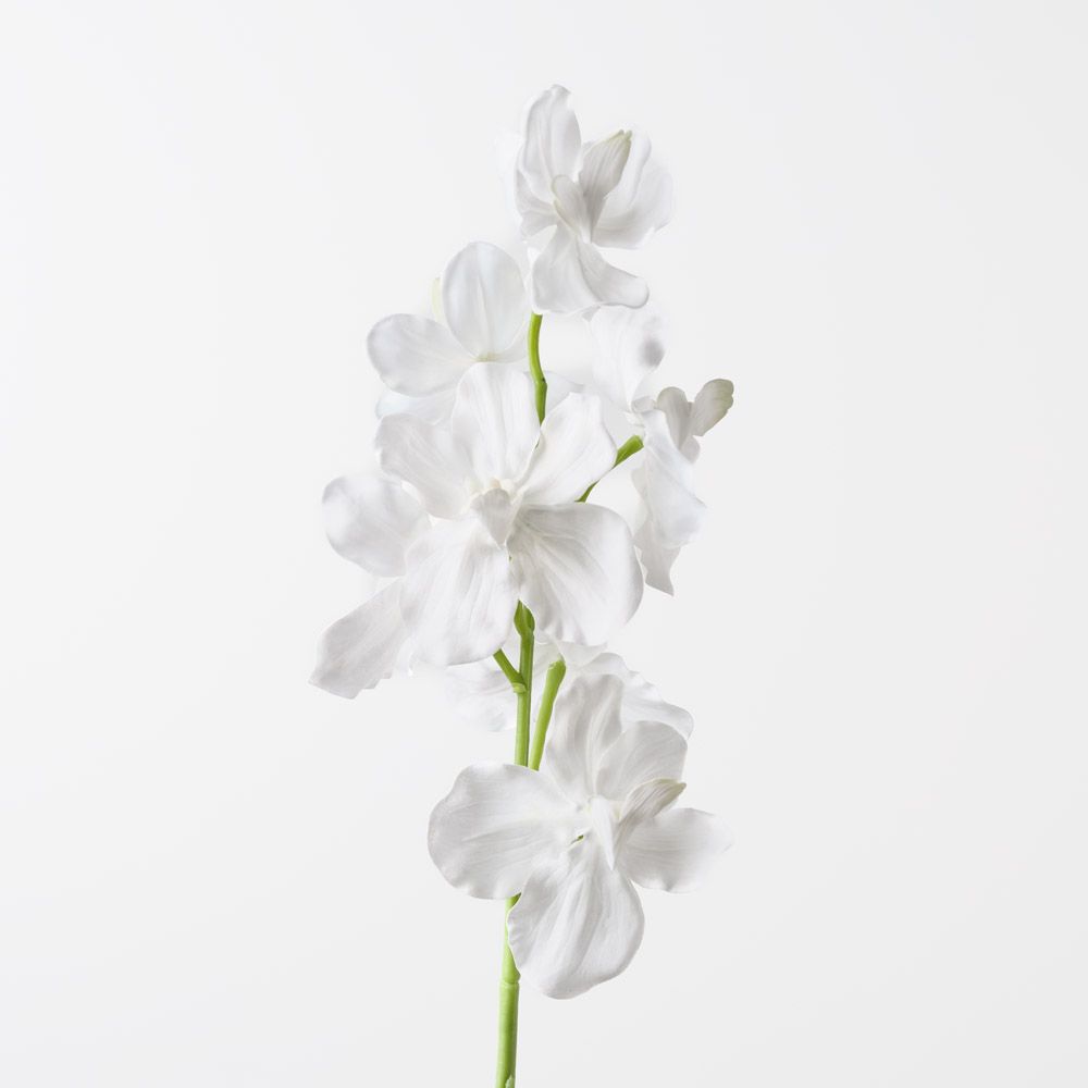 Real-Touch Vanda Orchid - White - Premium Artificial Wedding Flowers by Sonder & Stone Boutique