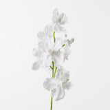 Real-Touch Vanda Orchid - White - Premium Artificial Wedding Flowers by Sonder & Stone Boutique