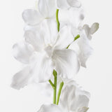 Real-Touch Vanda Orchid - White - Premium Artificial Wedding Flowers by Sonder & Stone Boutique