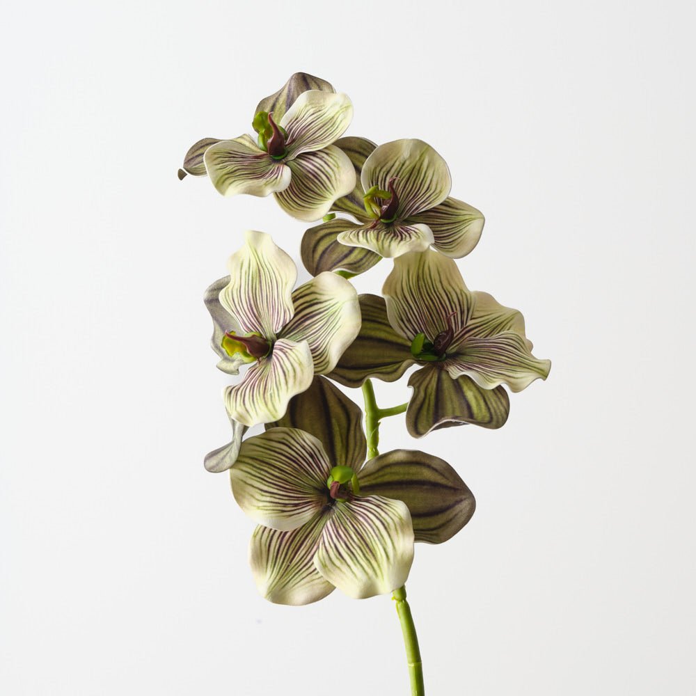 Vanda Orchid 66cm - Green Eggplant - Premium Artificial Wedding Flowers by Sonder & Stone Boutique