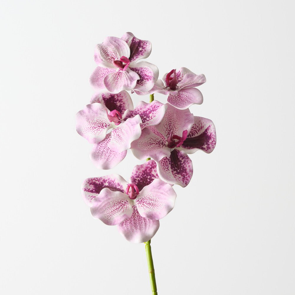 Vanda Orchid 66cm - Lavender - Premium Artificial Wedding Flowers by Sonder & Stone Boutique