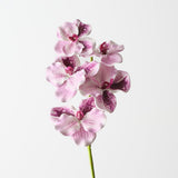 Vanda Orchid 66cm - Lavender - Premium Artificial Wedding Flowers by Sonder & Stone Boutique