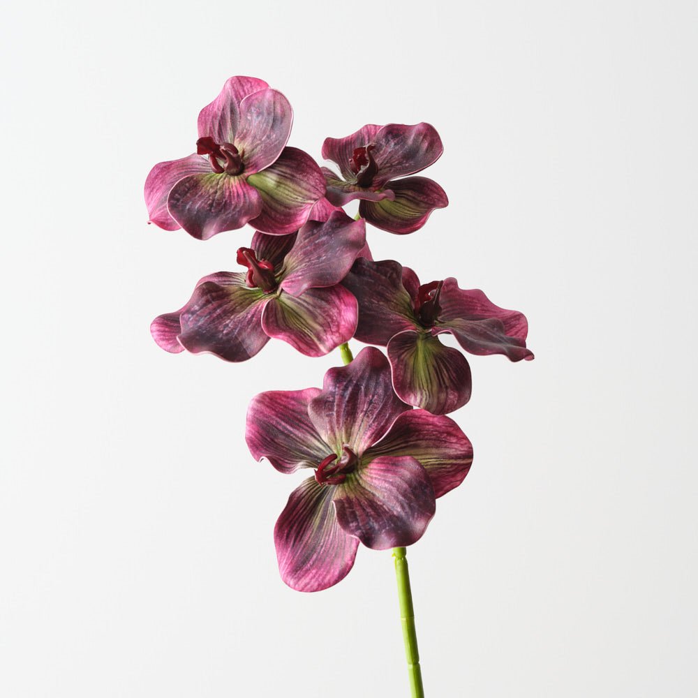Vanda Orchid 66cm - Purple - Premium Artificial Wedding Flowers by Sonder & Stone Boutique