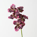 Vanda Orchid 66cm - Purple - Premium Artificial Wedding Flowers by Sonder & Stone Boutique