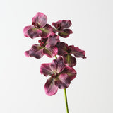 Vanda Orchid 66cm - Purple - Premium Artificial Wedding Flowers by Sonder & Stone Boutique