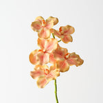 Vanda Orchid 66cm - Yellow Orange - Premium Artificial Wedding Flowers by Sonder & Stone Boutique