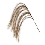 Artificial flowers Pampas Grass Hanging - Brown - Sonder + Stone Boutique